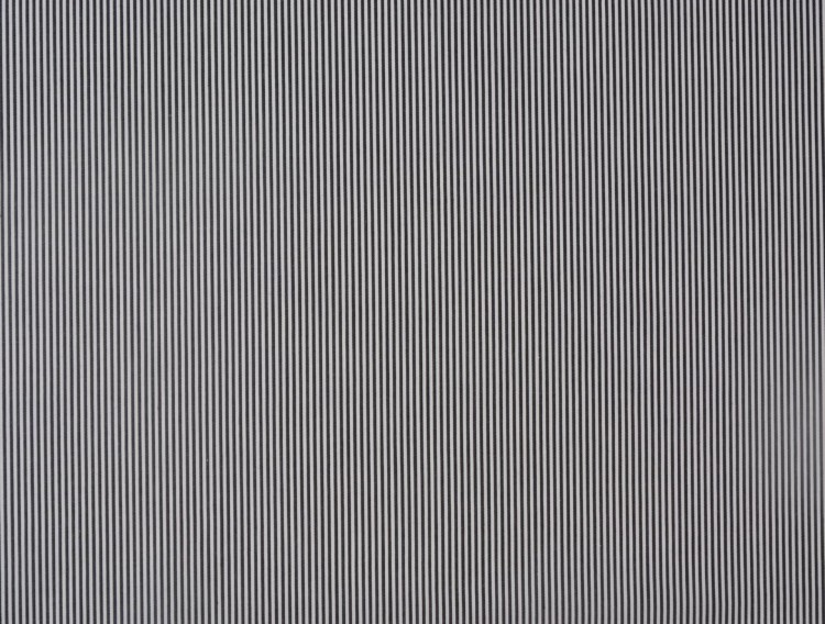 Tkanina Bawełniana Koszulowa Paski